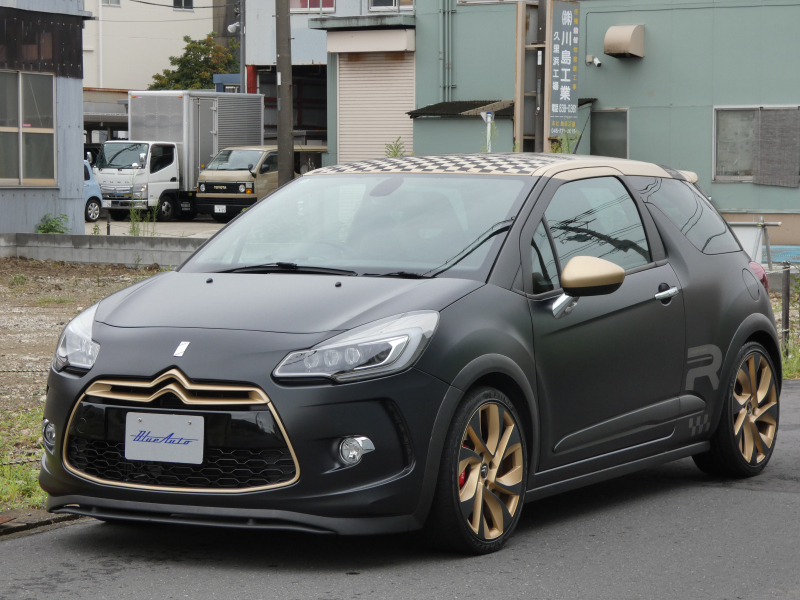 DS3